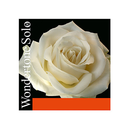 PIRASTRO_Wondert_4f04687867edb.jpg