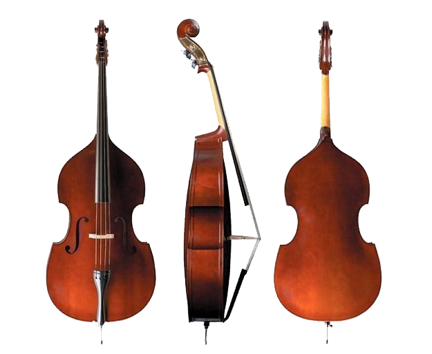 Set Bass