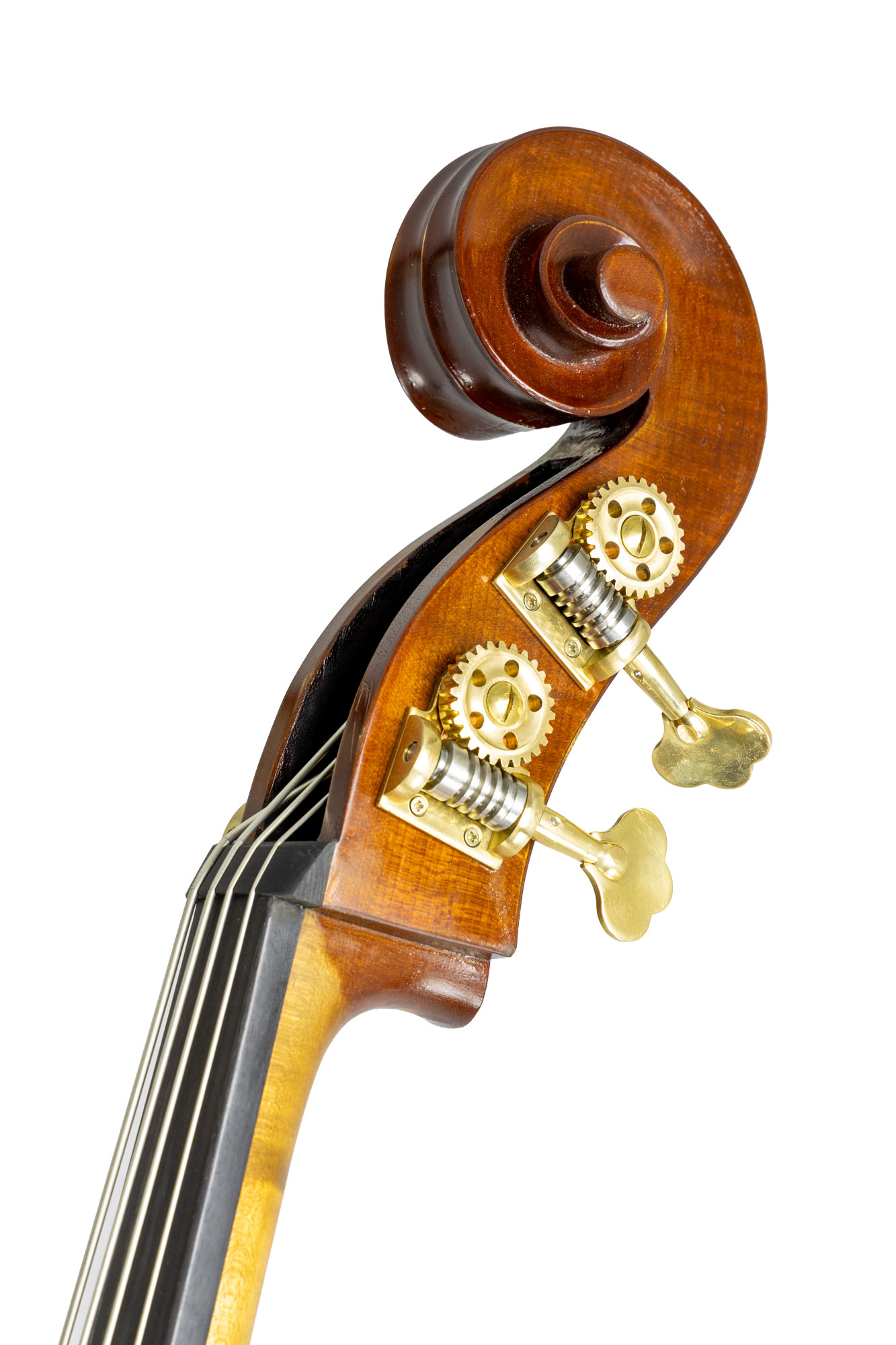 Schnecke2